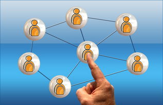 爱游戏下载-德国队与国际乒联混合团体世界杯赛制的互动与挑战，德国队乒乓