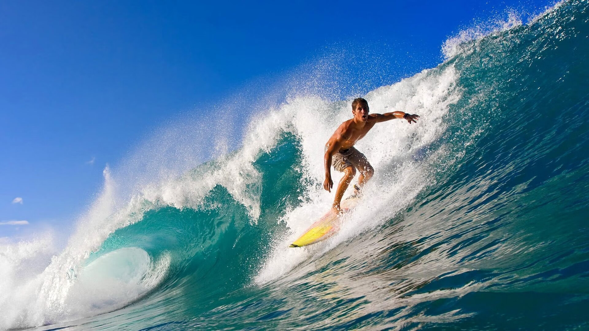 英超逆境突围：顽强拼搏成就奇迹，英超最大逆转夺冠